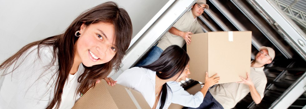 Professional Removalists Point Vernon